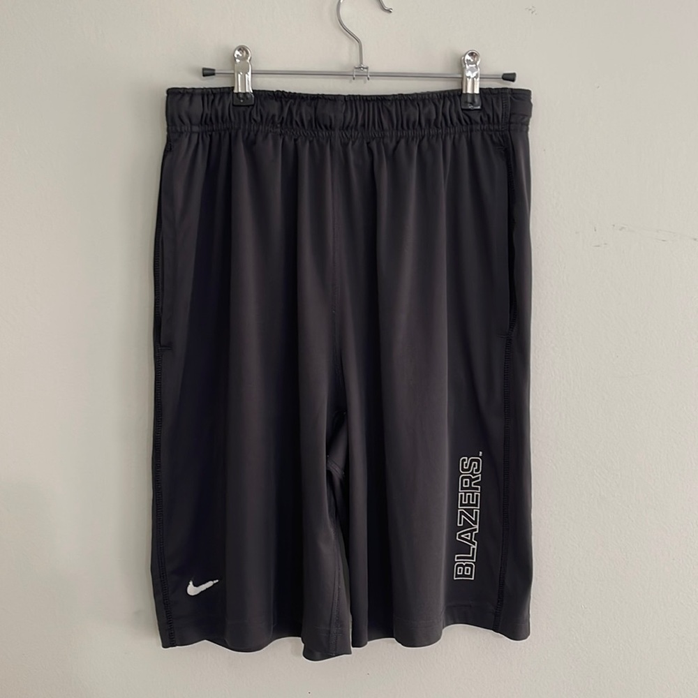 Nike Dri-fit Basketball shorts